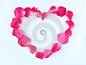 Petals of rose flower in heart shape with couple wedding rings on white background