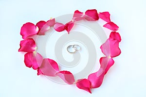 Petals of rose flower in heart shape with couple wedding rings on white background