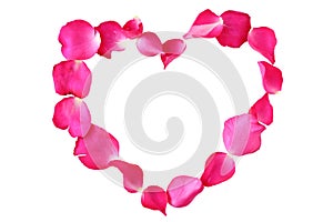 Petals of rose flower in heart shape isolated on white background
