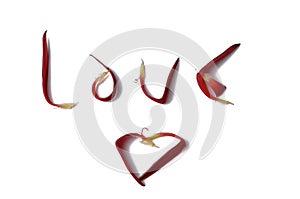 Petals rose isolated on a white background.Love background.Copy space