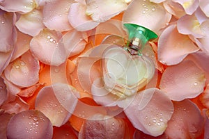 Petals roses glass perfume studio photo