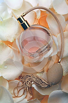 Petals roses glass perfume studio photo