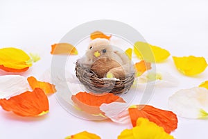 Petals with small nest and bird in it.