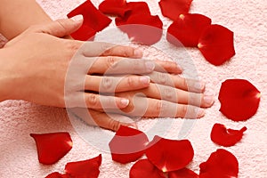 Petals and women's hands