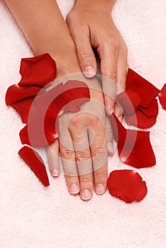 Petals and women's hands