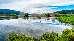 Peter Hope Lake in the Shuswap Highlands in British Columbia, Canada