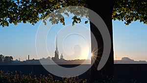 Peter and Paul Fortress and tree on the Spit of Vasilievsky Island on a sunrise - St. Petersburg, Russia