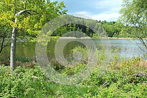 Peter pond in Jizerske mountain