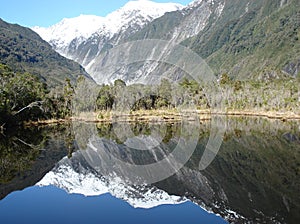 Peter's Pools, Franz Josef Glacier, new Zealand