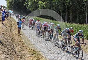 Peter Sagan in the Peloton - Tour de France 2018