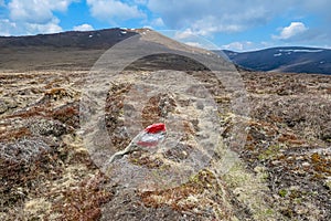 Peterer Riegel - Stone path mark resembling the Austrian flag with scenic view of mountain peak of Amerinkogel photo
