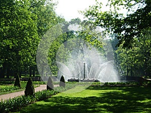 Petergof, Saint peterburg, Russia - JUNE 12, 2013: High round lush white fountain in the park of Petergof.