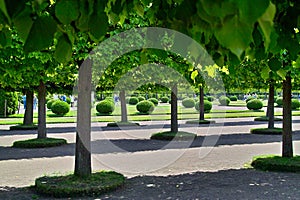 Peterhof. Alley of the upper garden.