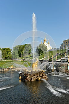 The Peterhof fountain Samson tearing the lion's mouth photo