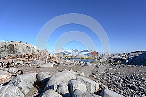 Petermann Island, beautiful Antarctic Island with penguins on rocks, abandoned station and snow covered mountains behind Ocean.