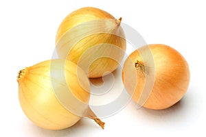 Petit onion