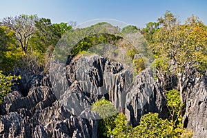 Petit Tsingy de Bemaraha