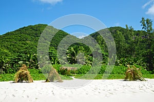 Petite Anse beach on La Digue island, Seychelles.