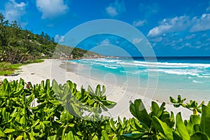 Petite Anse, La Digue in Seychelles - Tropcial and paradise beach photo