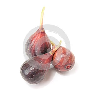 Petite Negri figs