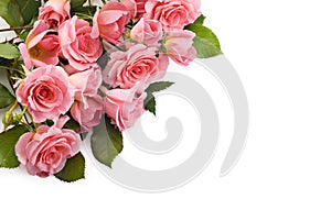 Petite Pink Roses photo