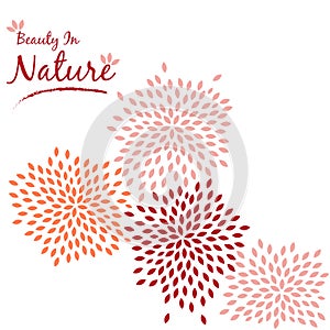 Petle Flower Wall Decal Sticker Vector Illustration