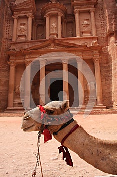 Petra