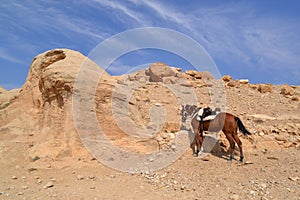 Petra is an ancient city in Jordan, the capital of Idumea, later the capital of the Nabataean Kingdom.