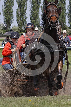 Petra Duskova entering water obstacle in driving