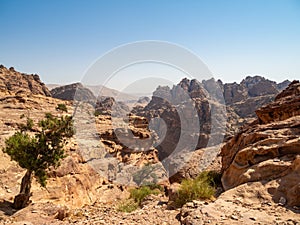 Petra historic and archaeological city carved from sandstone stone, Jordan, Middle East