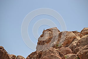 Petra, Jordan - ancient Nabatean city in red natural rock and with local bedouins, UNESCO world heritage