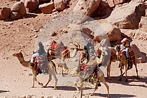 Unidentified man looks for tourists for camel ride