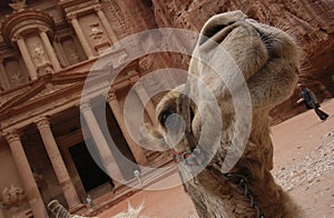 Petra in Jordan - the treasury photo