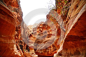 Petra - Jordania photo