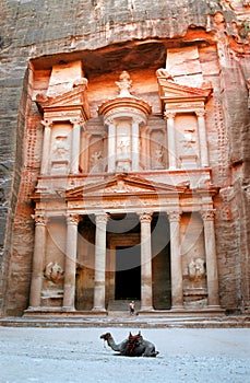 Petra - The Treasury with camel
