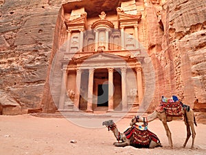 Petra Treasury and camels photo