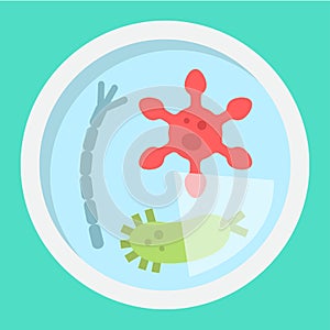 Petri dish of bacteria flat icon, medicine