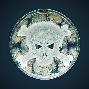 Petri dish with bacteria in the shape of a skull and crossbones