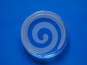 Petri dish for cell culture over blue