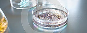 Petri dish with colorful glitter mixed sample in analysis fluid in environment research laboratory