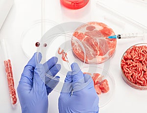 Petri dish with cultured meat in laboratory