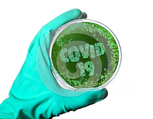 A petri dish with germs in the shape of the word COVID-19. series