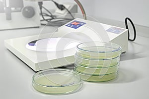 Petri dish glassware with growing cultures of microorganisms, fungi and microbes ware plate tower, Biotechnology Laboratory