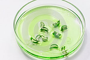 a petri dish with a green liquid and a sliced aloe leaf close-up