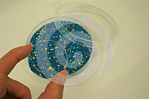 Petri dish of microbeads enlarged by magnifying lens