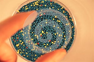 Petri dish of microbeads enlarged by magnifying lens photo