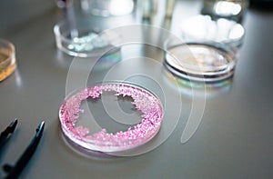 Petri dish with pink glitter sample mixed in analysis fluid in pharmaceutical research lab.