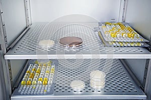 Petri dishes autoclave for sterilising inside.
