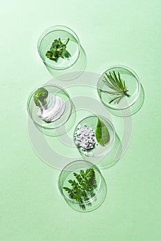 Petri dishes, cosmetic gel swatches and plants