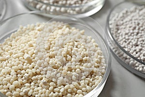 Petri dishes with different mineral fertilizers on table. Laboratory research